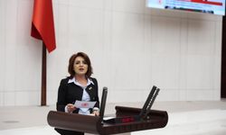 CHP Mersin Milletvekili Gülcan Kış: "Esnaf kepenk indiriyor, şirketler batıyor"