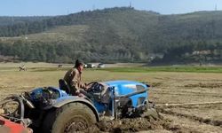 Pikniğe giden bataklığa saplandı, onları kurtarmaya gidenler de mahsur kaldı