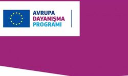 Aydın Gençli ve Spor İl Müdürlüğü’ne Avrupa Dayanışma Programı kalite sertifikası