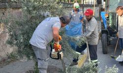 Çiçek gibi Nazilli için belediye ekipleri durmuyor