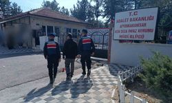 Hırsızlık suçundan aranan şahsı jandarma yakaladı