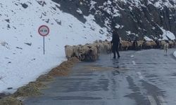 Van'da besicilerin zorlu kış mesaisi başladı