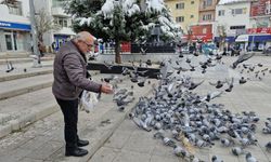 Soğukta kuşları besleyen emekli öğretmen yürekleri ısıttı