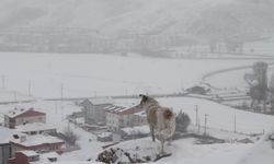 Meteoroloji'den Bayburt için kar yağışı uyarısı