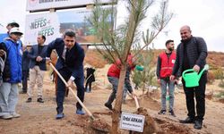 Bingöl’de binlerce fidan, toprak ile buluştu