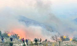 Evlere sıçrayan yangına müdahale için çevre illerden destek istendi