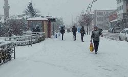 Kar Erzurum’u esir aldı