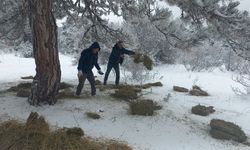 Kütahya’da yaban hayvanlarına kış desteği