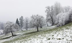 Meteoroloji’den 2 il için kar uyarısı