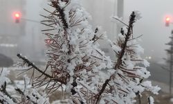 Ardahan’da soğuk hava ve sis hayatı olumsuz etkiliyor