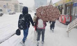 Başkale’de kar aniden bastırdı, sürücüler zor anlar yaşadı