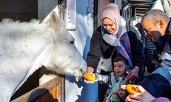 Beyoğlu’nun özel çocukları atlı terapide buluşuyor