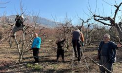 Yevmiyeci bulamayan çiftçiler çareyi imecede buldu