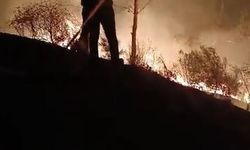 Hatay’da ormanlık alanda çıkan yangın söndürüldü