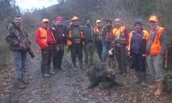 Kastamonu’da su borusunu tamir ederken domuzun saldırdığı adam ağır yaralandı