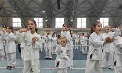 Osmangazi’de karate eğitim semineri