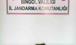 Bingöl’de 2 kilo esrar ele geçirildi