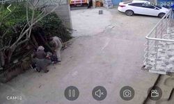 Dayısına kürekle saldırdı, o anlar güvenlik kamerasında