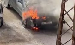 Hatay’da park halindeki kamyonet alevlere teslim oldu