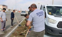 Iğdır’da bayram öncesi peyzaj ve temizlik çalışması yapılıyor