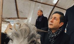 Milletvekili Bulut: "Biz bu ülkenin hayvanına, kuşuna, her şeyine aşığız"
