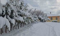 Tunceli’de kar yağışı hayatı olumsuz etkiliyor