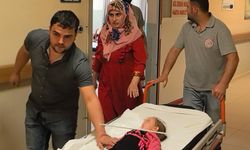 2 yaşındaki çocuğun çenesine askı saplandı
