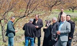Baskil’de dondan etkilenen meyve bahçelerinde inceleme