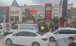 Erciş’te Filistin’e destek yürüyüşü
