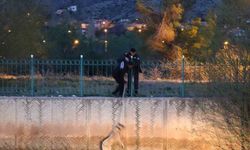 Erzurum’da sokak köpeğine kurtarma operasyonu