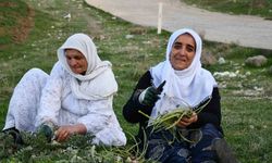 Huzura kavuşan Herekol Dağı’nda vatandaşlar pancar topladı