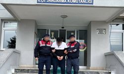Ordu’da DEAŞ üyesi bir kişi yakalandı