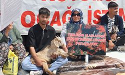 Köylülerin direnişi kazandı: Değirmençay’da taş ocağı iptal