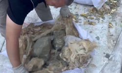 Yün torbalarında kilolarca uyuşturucu ele geçirildi: 3 tutuklama