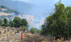 Antalya’da ormanlık alanı tehdit eden yangına müdahale ediliyor