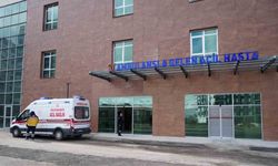 Niğde’de 73 acemi kasap hastanelik oldu