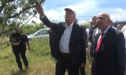 TZOB Başkanı Bayraktar: "Don hadisesi Türkiye’nin yaklaşık 65 ilinde özellikle meyve ürünlerimize büyük zarar verdi"