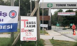 Haklarını almadan vazgeçmeyecekler: Grev 25’inci gününde!