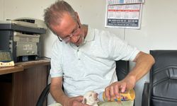 Tescilli ırk olan Çatalburun köpeği bir batında 13 yavru dünyaya getirdi