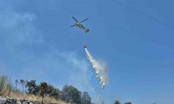 Bodrum’daki yangın büyümeden söndürüldü