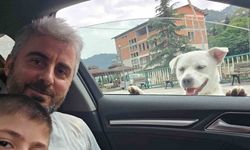 Esnafın peşinden ayrılmayan pitbull görünümlü köpek sosyal medyada gündem oldu