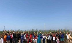 Gençler, sahillerde kıyı temizliği yaptı