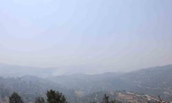 Kahramanmaraş’taki orman yangınında 4 ev yandı, 20 ev tahliye edildi
