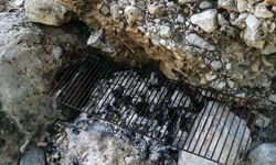 Mersin’de ormanda piknik yapan 5 kişiye ceza
