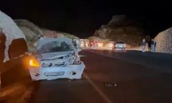Mersin'de otomobil domuza çarptı