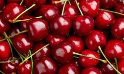 Zirai don kirazı vurdu, geçen yıla göre 61 bin ton ihracat kaybı yaşandı