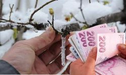 Mersinli çiftçiler kasım ayını bekliyor: Tarım ve Orman Komisyonu tatilde de çalışacak