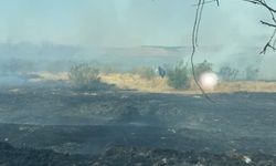 Batman’da anız yangınında 100 dönüm alan zarar gördü