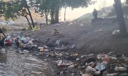 Piknik alanı çöplüğe döndü