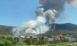 Soma’da orman yangını